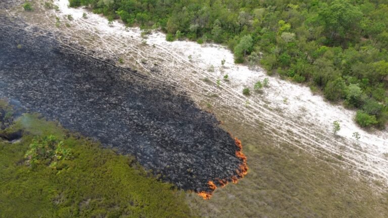 Imagem de drone feita em 15 de outubro mostra o incêndio na região da Fazenda Formoso, antes de ele ser declarado extinto.